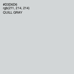#D3D6D6 - Quill Gray Color Image
